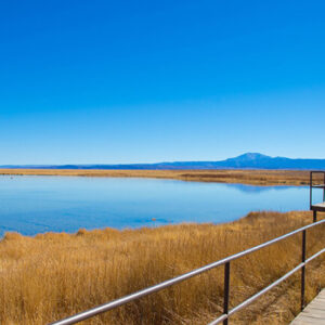 Laguna Cejar