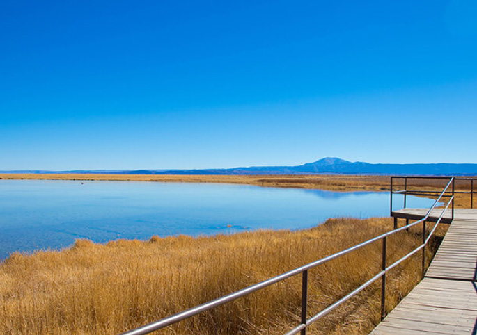Laguna Cejar